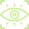 Vision Icon